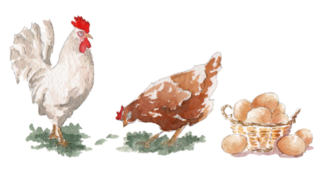 cobardesygallinas datos personales